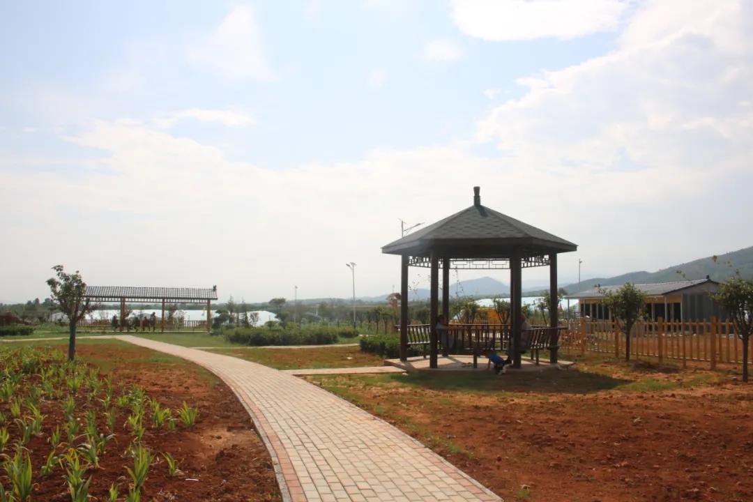 06.jpg