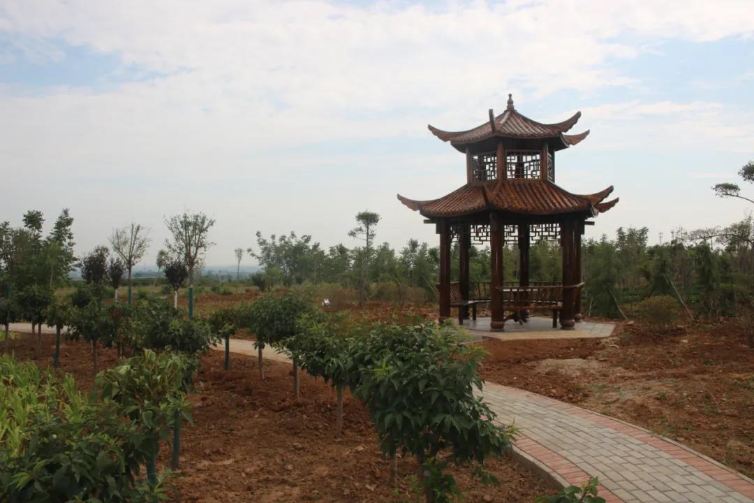 04.jpg