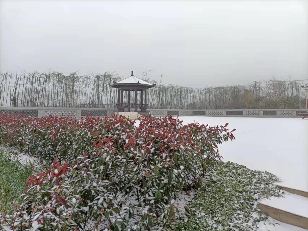 微信图片_20220124085512.jpg 微信图片_20220124085512.jpg