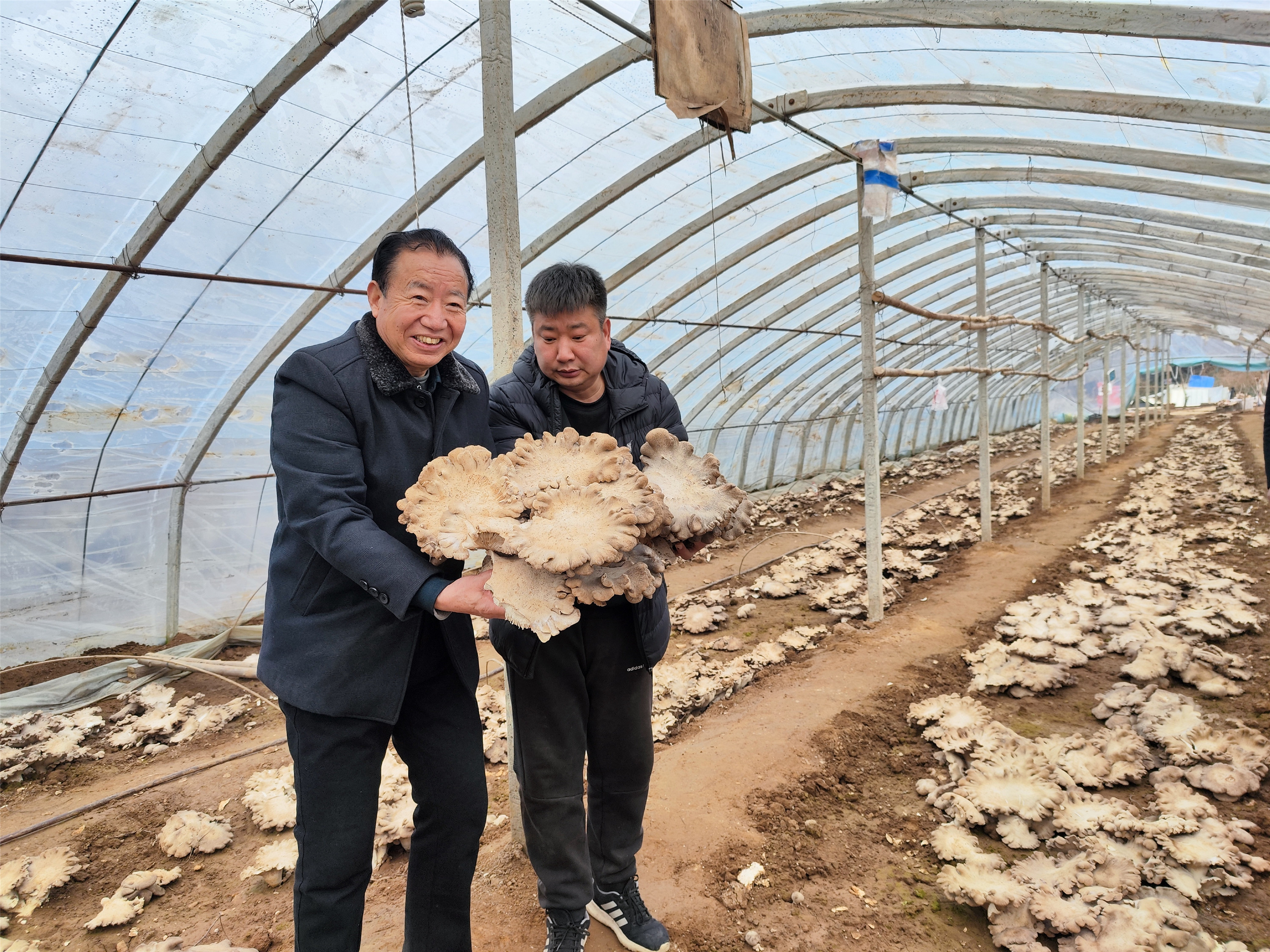 微信图片_20220214091038_副本.jpg 微信图片_20220214091038_副本.jpg