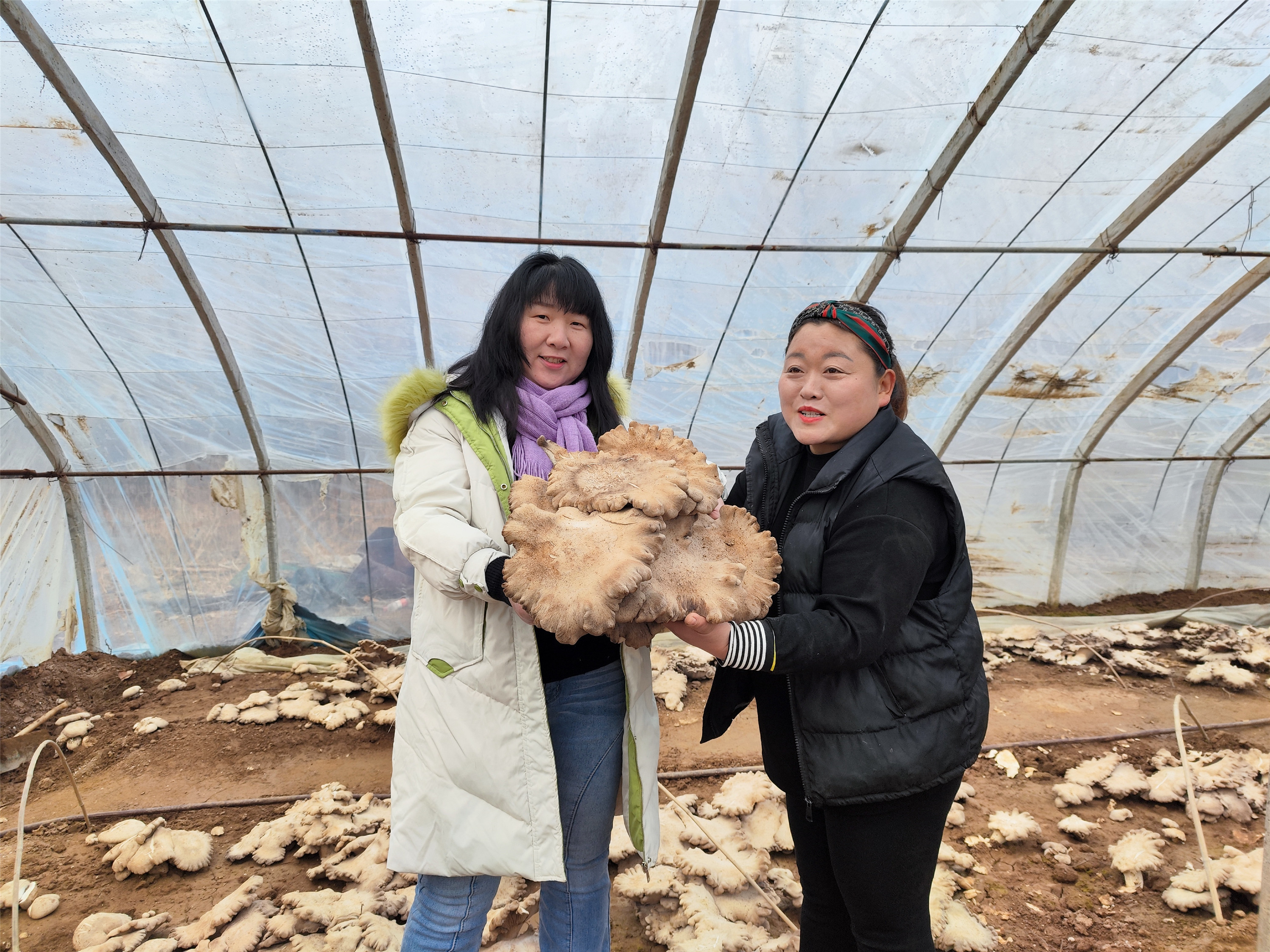 微信图片_20220214091047_副本.jpg 微信图片_20220214091047_副本.jpg