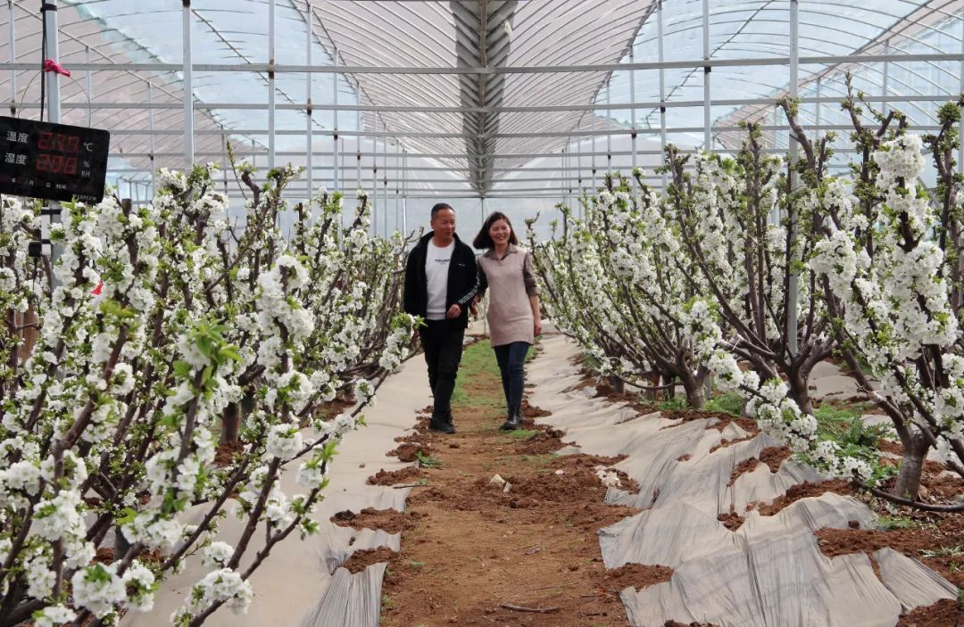 微信图片_20220321114422.jpg 微信图片_20220321114422.jpg