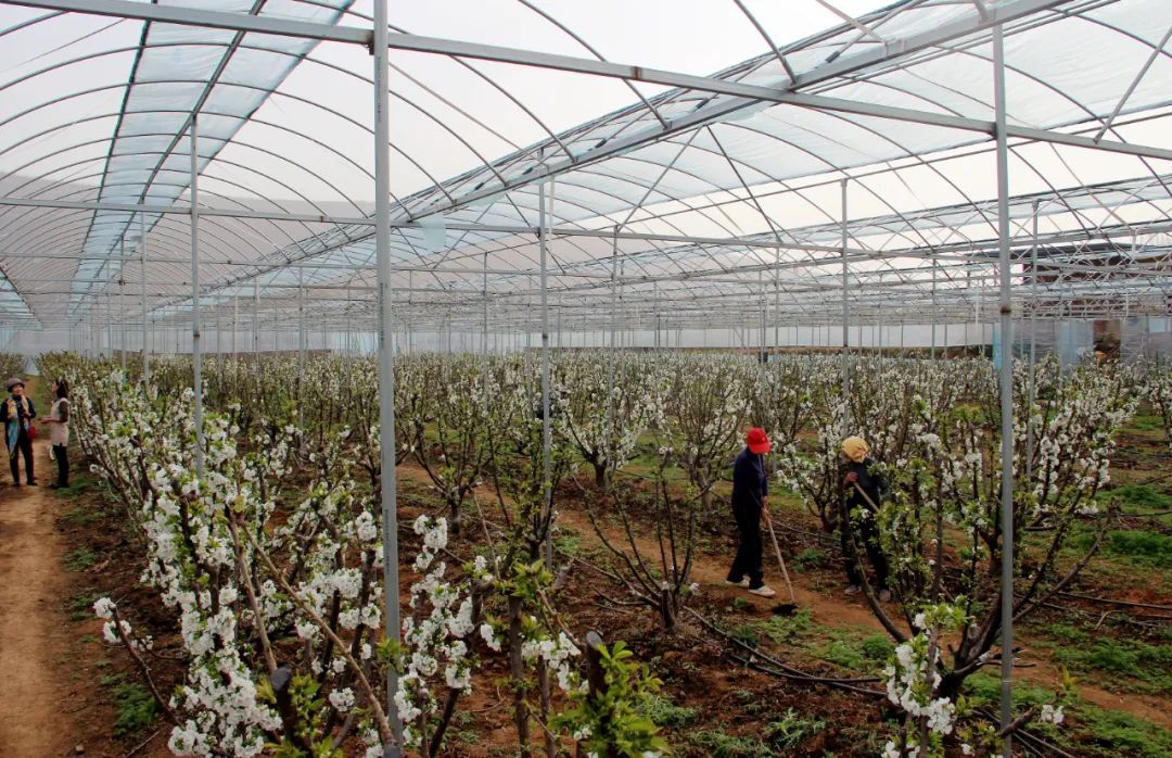 微信图片_20220321114415.jpg 微信图片_20220321114415.jpg