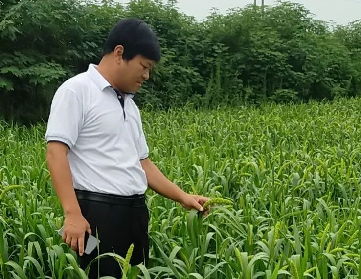 王永杰：真心为民办实事 用心帮扶解民忧