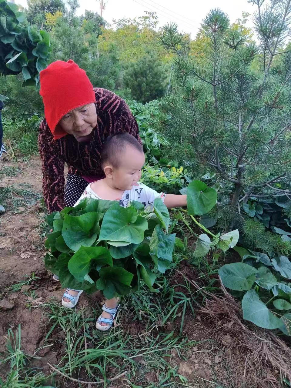 刘变菊：儿媳眼中的好妈妈
