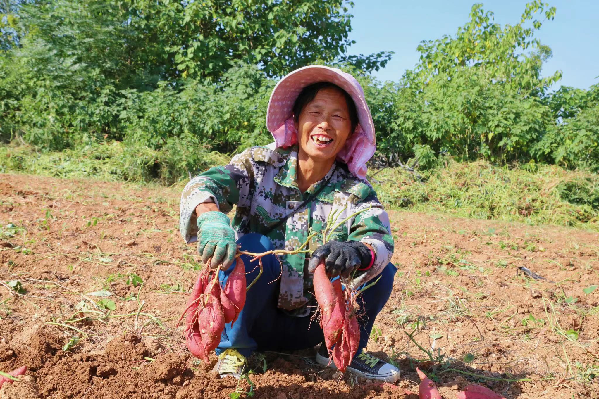 微信图片_20220926182721.jpg 微信图片_20220926182721.jpg