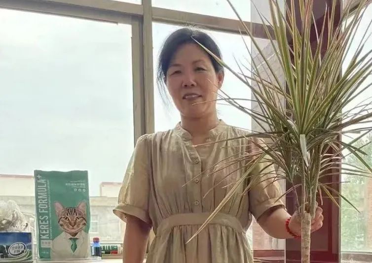 好妯娌成就和谐大家庭