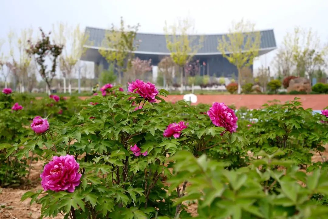 8624dfbe4d390e5d03c3d554b9aa2e9.jpg
