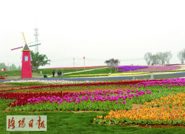 QQ截图20160413145444.png