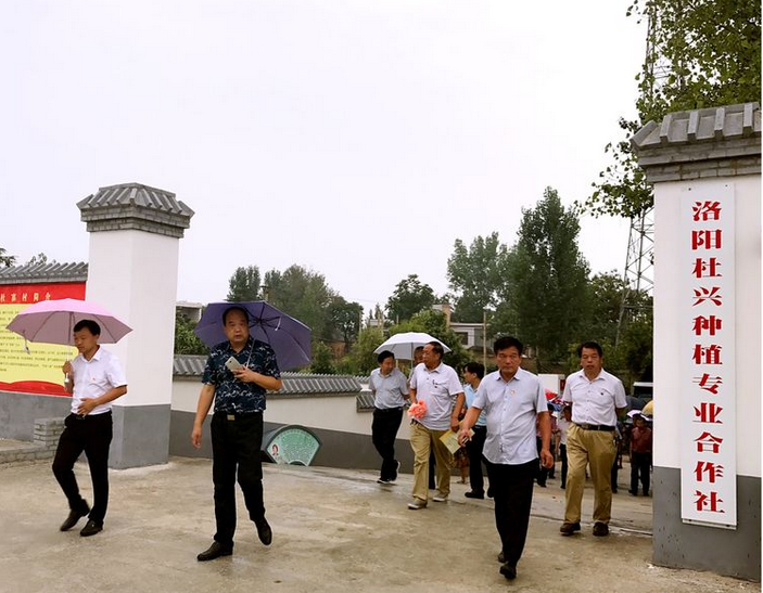QQ图片20170828114944.png