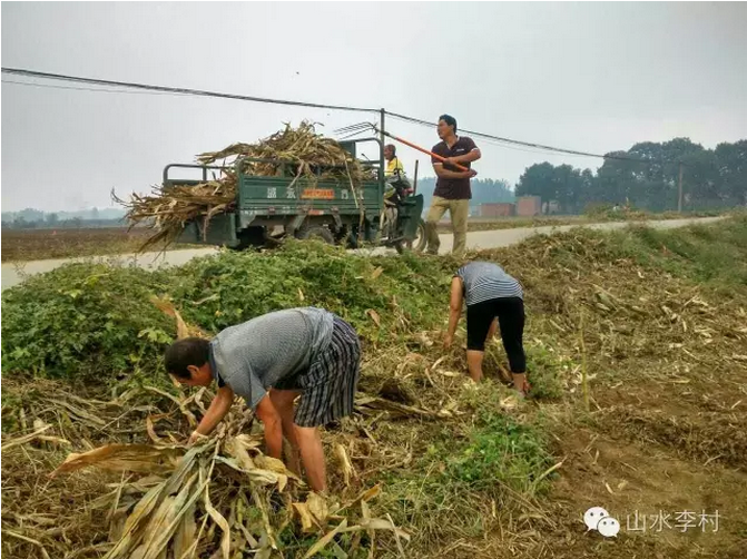 李村镇：打造美丽环境　服务旅游景区