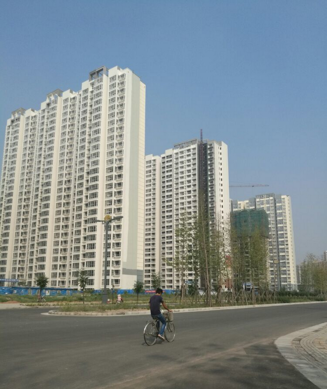 诸葛镇：以创收迎丰收，用筑梦来圆梦