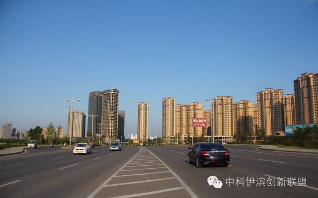 示范区召开座谈会，专题研究加快伊滨区商业服务业发展