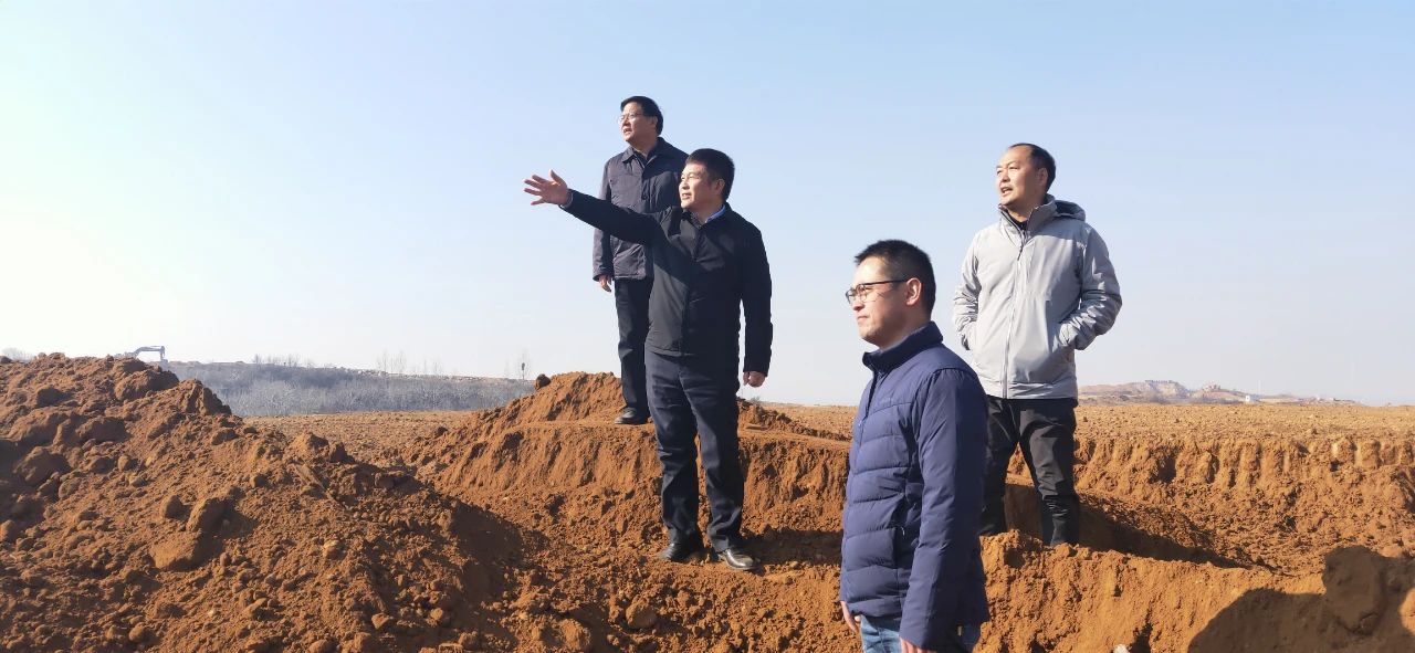 张向阳督导调研万安山生态修复工作
